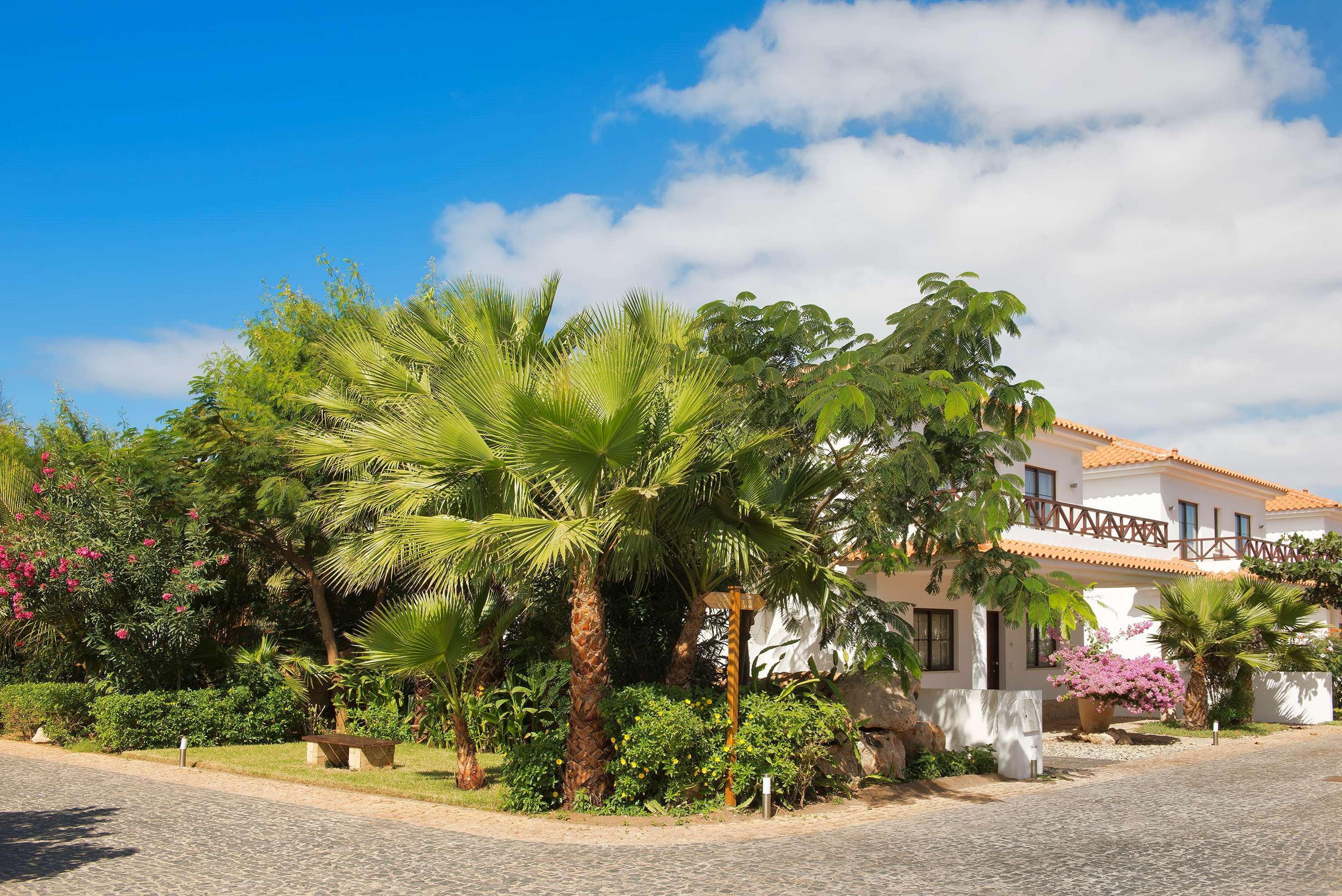 Melia Tortuga Resort 5*