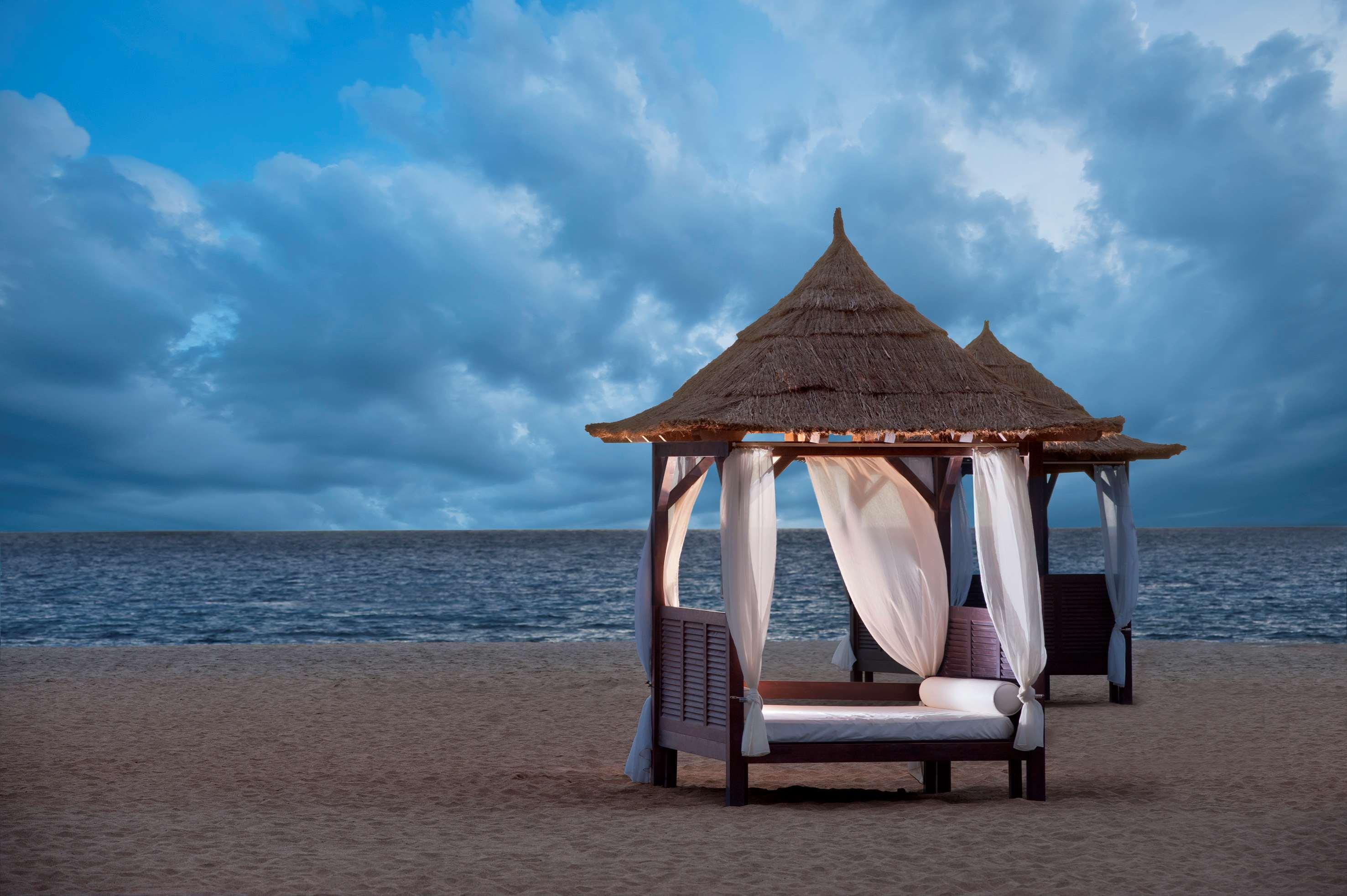 Melia Tortuga Santa María